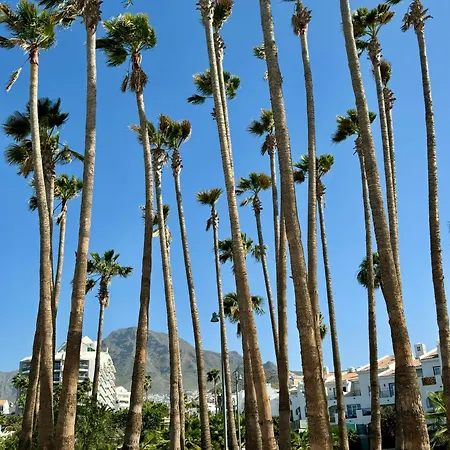Apartmán Buenavista Torviscas Costa Adeje (Tenerife)
