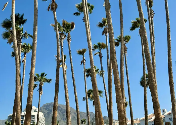 Appartement Buenavista Torviscas Costa Adeje (Tenerife)